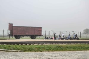 Från Krakow: Auschwitz-Birkenau-tur med transfer
