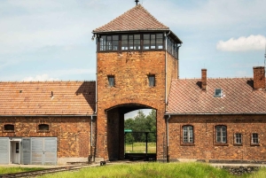 Depuis Cracovie : visite d'Auschwitz-Birkenau avec transfert