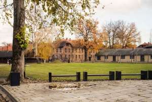 Depuis Cracovie : visite d'Auschwitz-Birkenau avec transfert