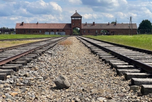 Depuis Cracovie : visite d'Auschwitz-Birkenau avec transfert