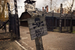 Depuis Cracovie : visite d'Auschwitz-Birkenau avec transfert