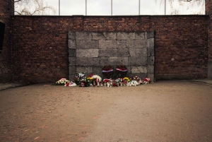Depuis Cracovie : visite d'Auschwitz-Birkenau avec transfert