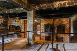 Z Krakowa: Auschwitz-Birkenau z przewodnikiem i odbiorem