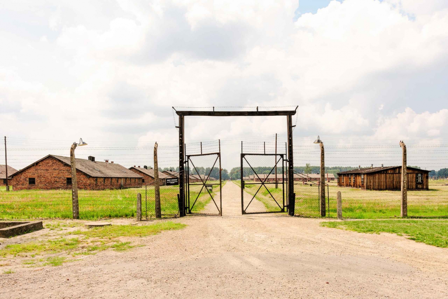 From Krakow: Auschwitz-Birkenau Tour with Transportation