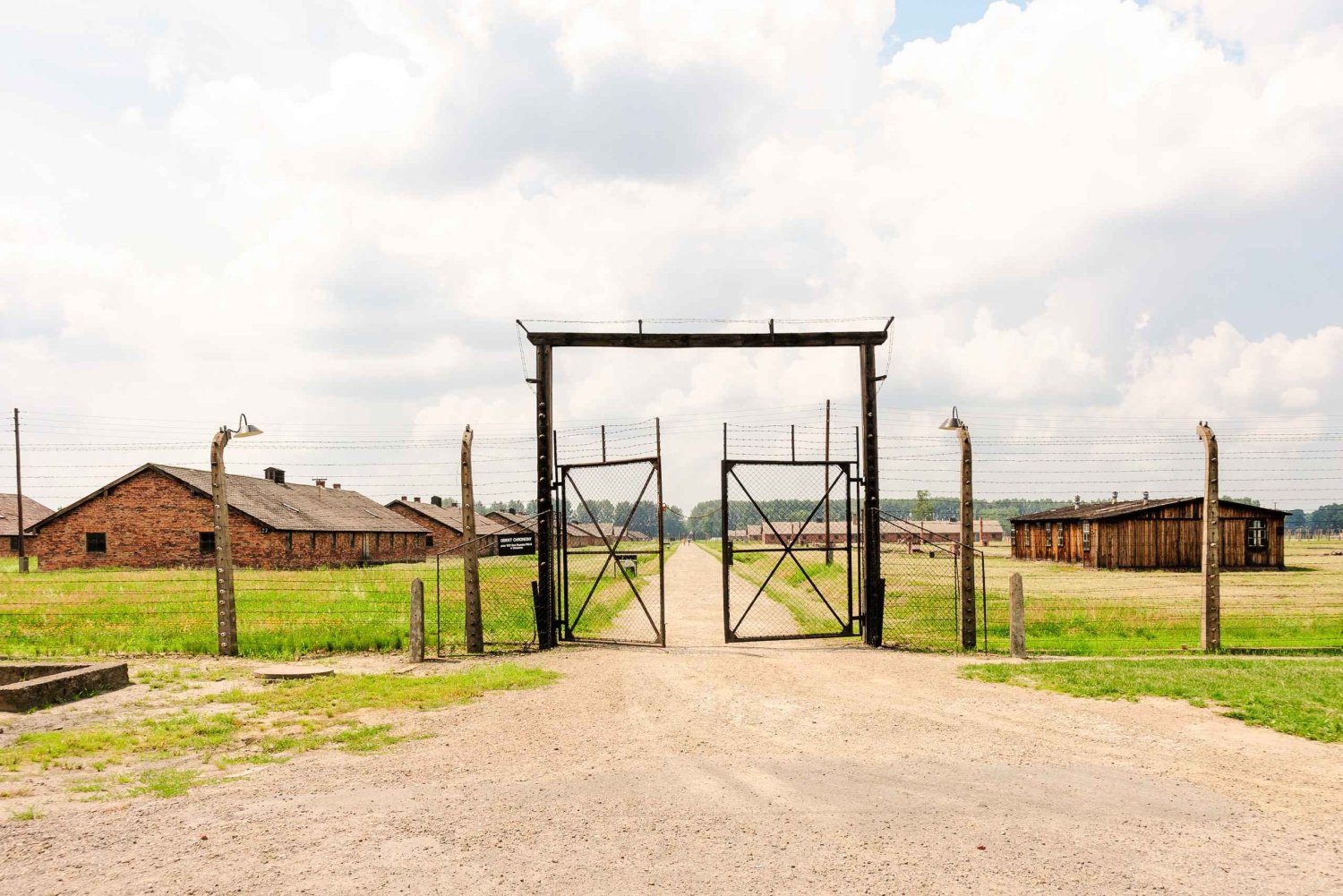De Cracóvia: Visita a Auschwitz-Birkenau com transporte