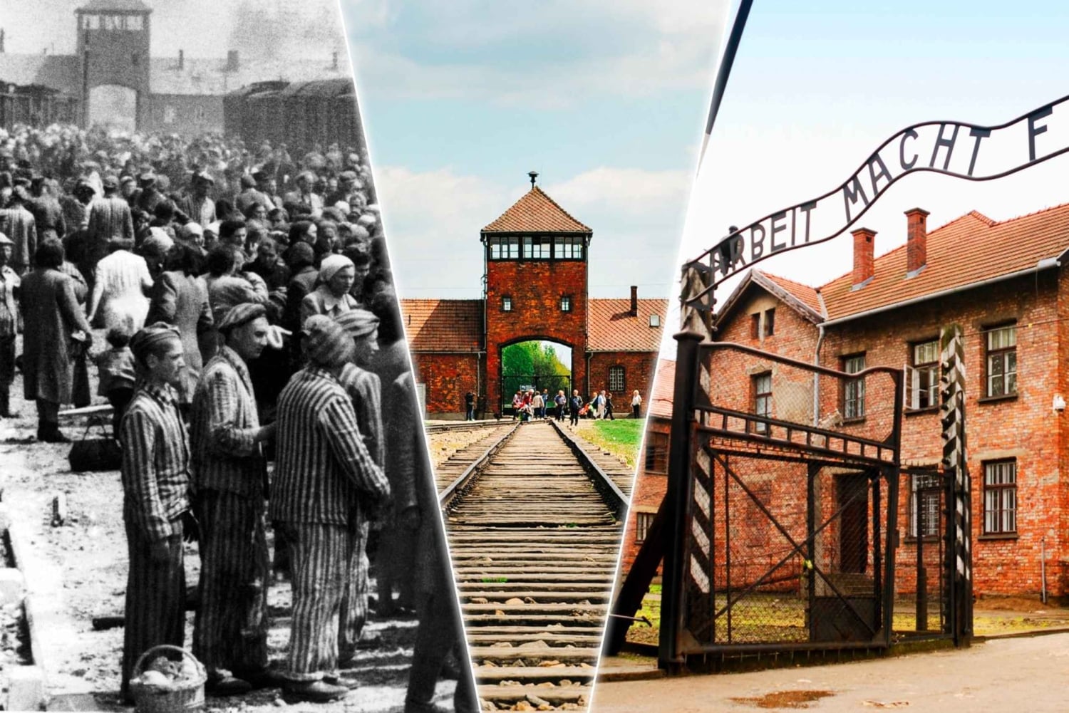 Fra Krakow: Auschwitz-Birkenau-tur med transport