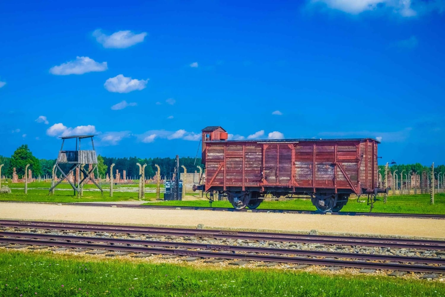 Fra Krakow: Auschwitz-Birkenau-tur med transport