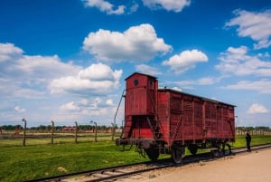 De Cracóvia: Visita a Auschwitz-Birkenau com transporte