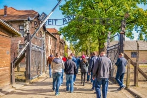 De Cracóvia: Visita a Auschwitz-Birkenau com transporte