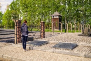 De Cracóvia: Visita a Auschwitz-Birkenau com transporte