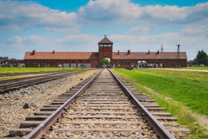 De Cracóvia: Visita a Auschwitz-Birkenau com transporte