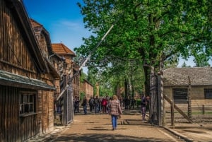 De Cracóvia: Visita a Auschwitz-Birkenau com transporte