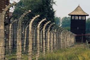 De Cracóvia: Visita a Auschwitz-Birkenau com transporte
