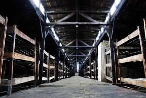 De Cracóvia: Visita a Auschwitz-Birkenau com transporte