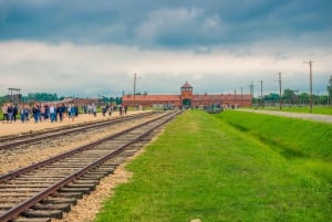 De Cracóvia: Visita a Auschwitz-Birkenau com transporte
