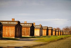De Cracóvia: Visita a Auschwitz-Birkenau com transporte