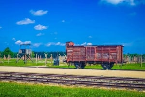 Fra Krakow: Auschwitz-Birkenau-tur med transport