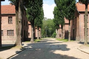 Fra Krakow: Auschwitz-Birkenau-tur med transport