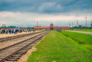 Fra Krakow: Auschwitz-Birkenau-tur med transport