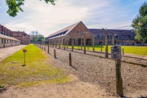 Fra Krakow: Auschwitz-Birkenau-tur med transport