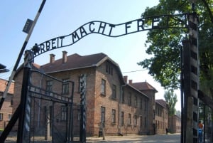 From Krakow: Auschwitz-Birkenau Tour