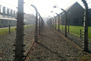 Från Krakow: Auschwitz-Birkenau Tour