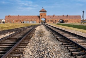 Fra Krakow: Auschwitz-Birkenau Tour