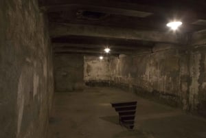 Au départ de Cracovie : Visite d'Auschwitz-Birkenau
