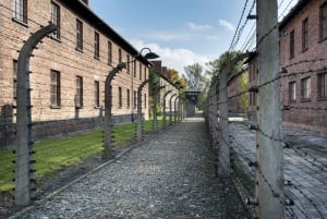 Au départ de Cracovie : Visite d'Auschwitz-Birkenau