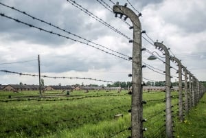Krakovasta: Krakova: Auschwitz Birkenau Self-Guided Tour