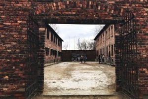 Från Krakow: Auschwitz Birkenau på egen hand