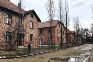 Krakovasta: Krakova: Auschwitz Birkenau Self-Guided Tour