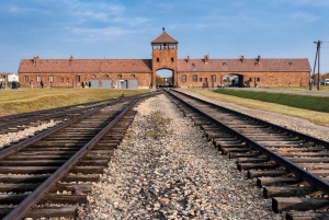 Från Krakow: Auschwitz-Birkenau Tour