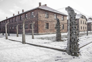 Från Krakow: Auschwitz-Birkenau Tour