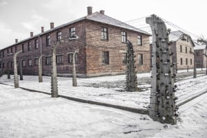 From Krakow: Auschwitz-Birkenau Tour