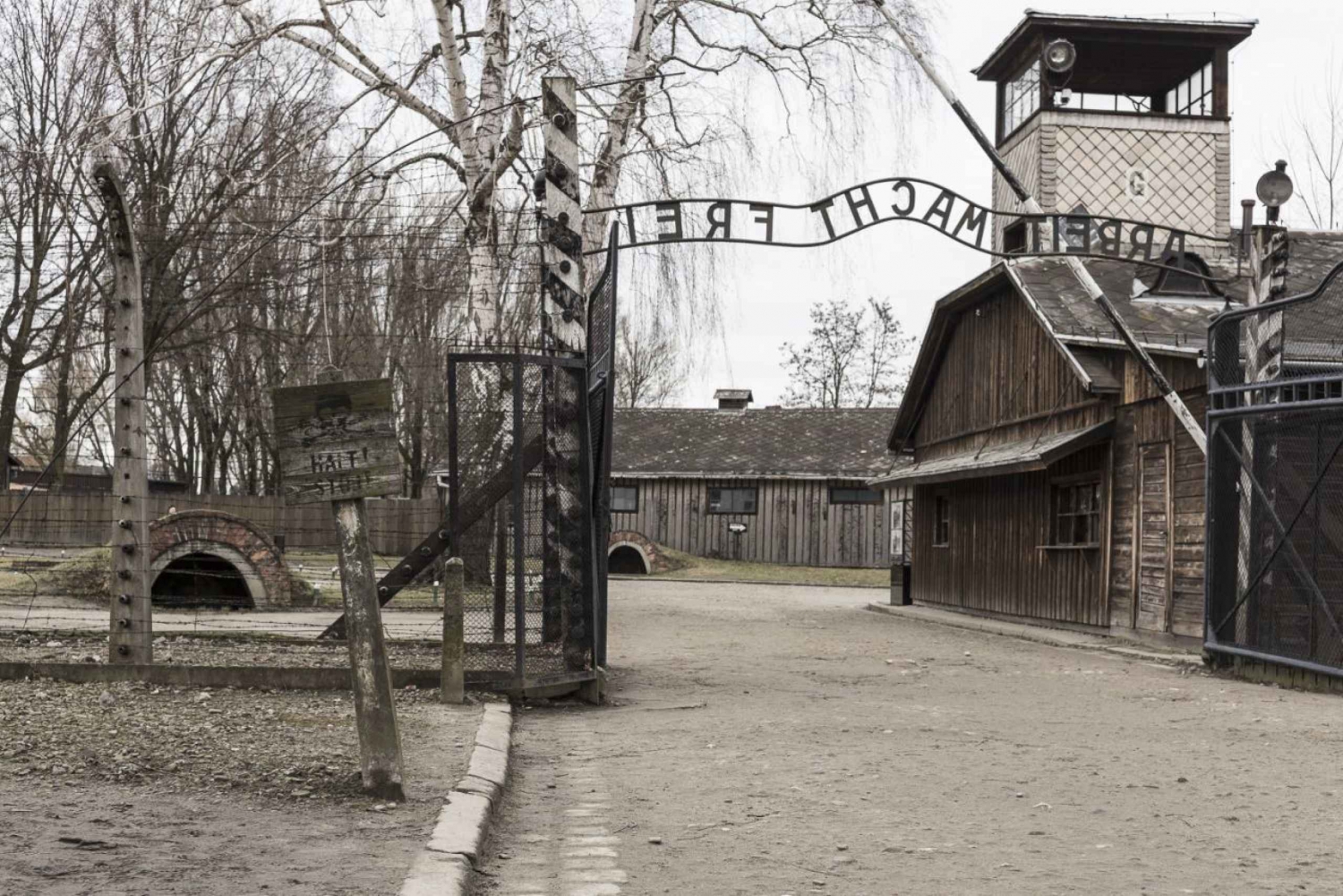 From Krakow: Auschwitz-Birkenau Transfer
