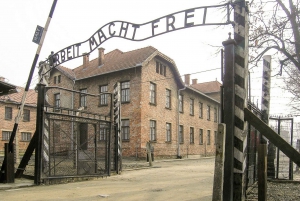 From Krakow: Auschwitz-Birkenau Visit and Transportation