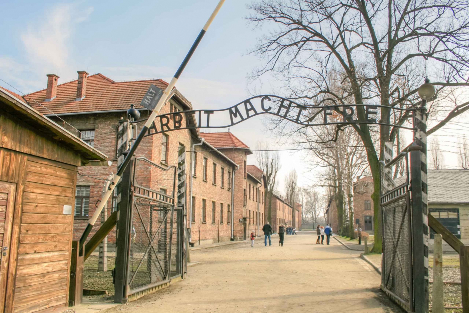 From Krakow: Auschwitz-Birkenau & Wieliczka Salt Mine Tour