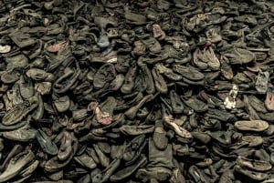 From Krakow: Auschwitz-Birkenau & Wieliczka Salt Mine Tour