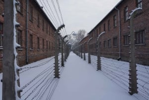 From Krakow: Auschwitz Birkenau with Live Guide & Guidebook