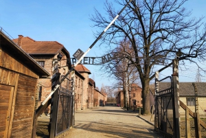 Krakow: Auschwitz-Birkenau & Wieliczka Salt Mine with Lunch