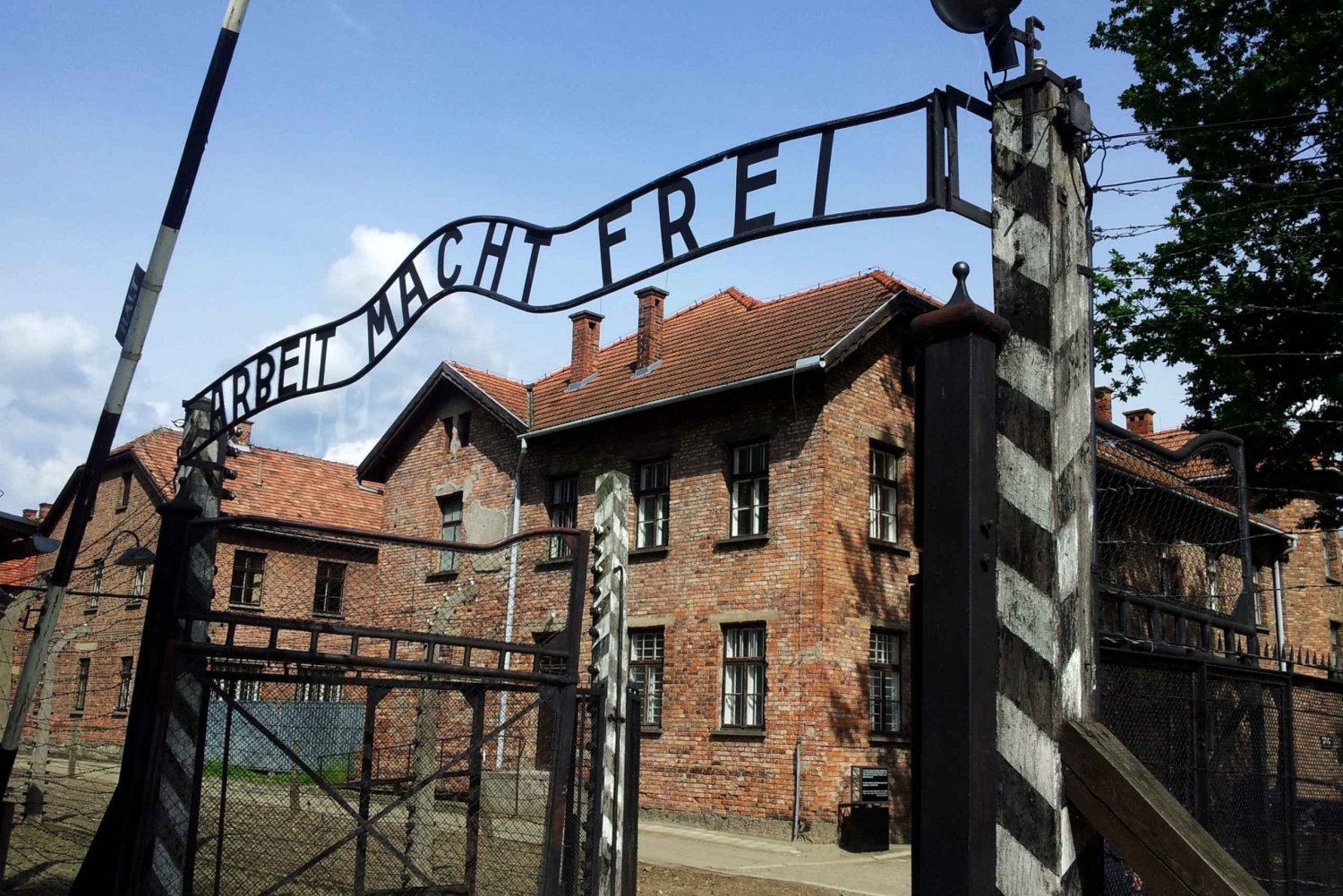 Krakow: Auschwitz-Birkenau Memorial Tour with Optional Lunch