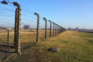 Krakow: Auschwitz-Birkenau Memorial Tour with Optional Lunch
