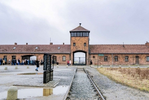 From Krakow: Auschwitz II-Birkenau Tour with Transportation