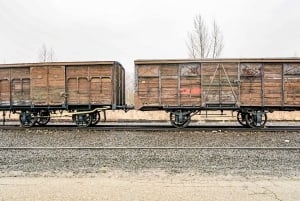 From Krakow: Auschwitz II-Birkenau Tour with Transportation