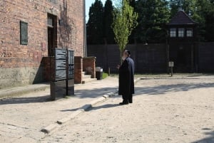 Da Cracovia: tour del Museo di Auschwitz e delle miniere di sale di Wieliczka