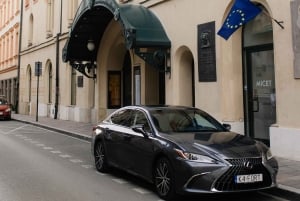 Da Cracovia: tour del Museo di Auschwitz e delle miniere di sale di Wieliczka