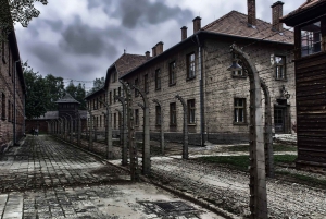 From Krakow: Auschwitz & Salt Mine Tour w/ Personal Driver