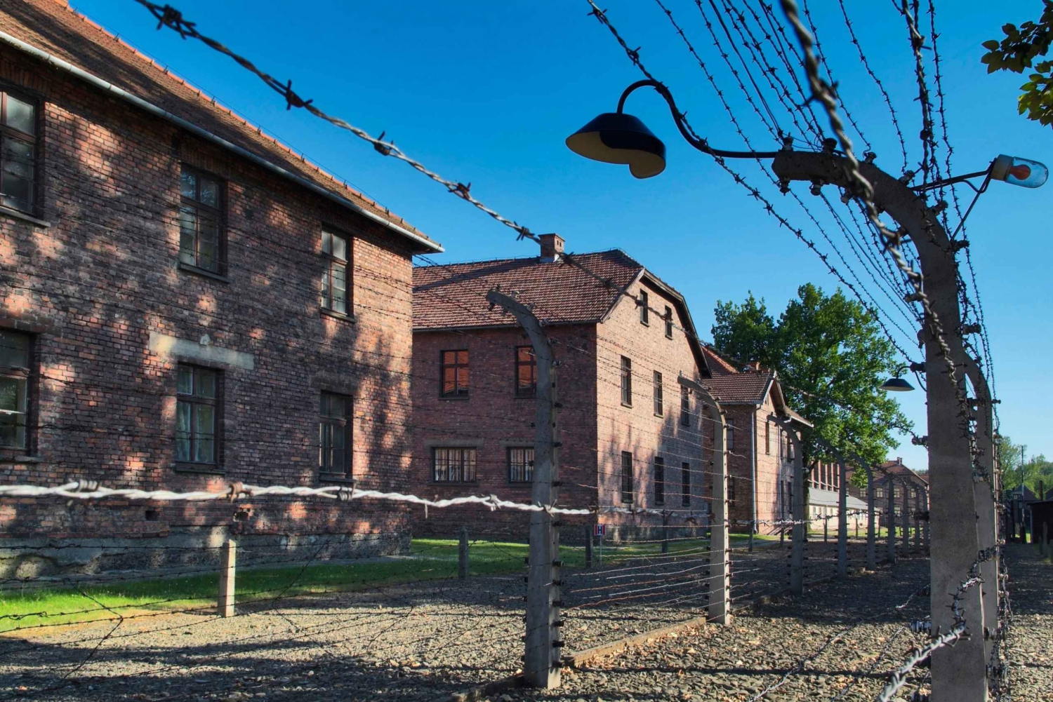 From Krakow: Auschwitz & Schindler's Factory Guided Day Trip
