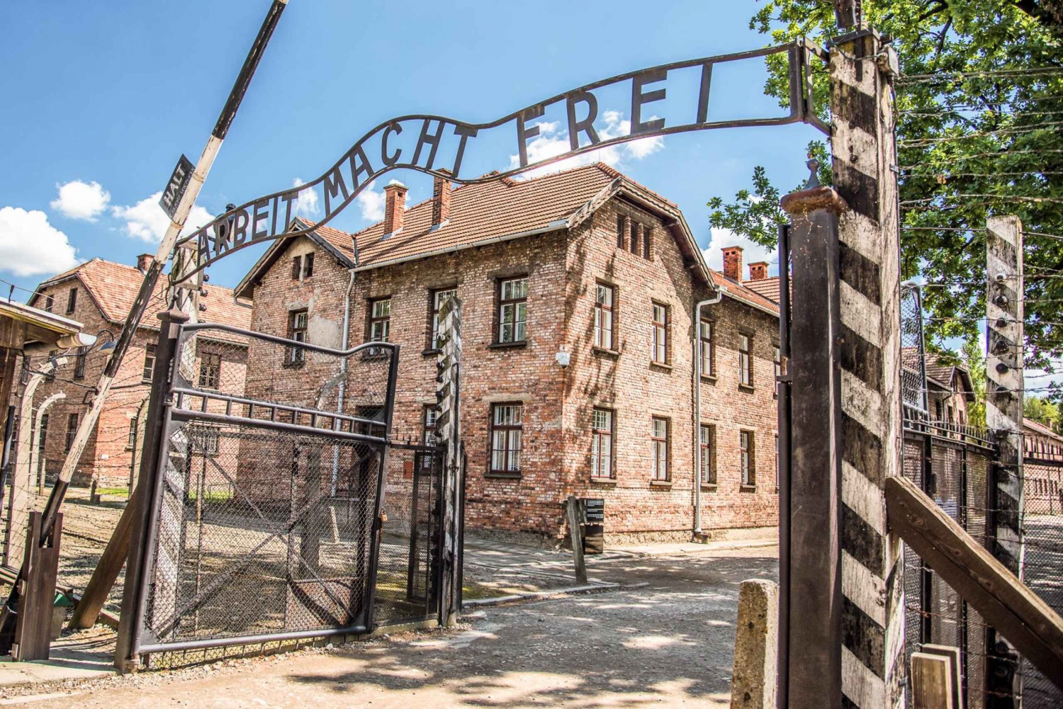 Fra Krakow: Heldagsutflukt til Auschwitz og Wieliczka saltgruve